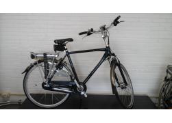 Multicycle Image e-bike